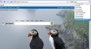 Live Search add-on for Firefox