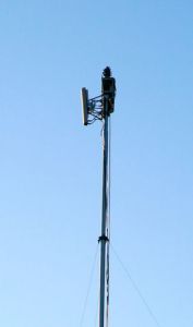Motorola LTE