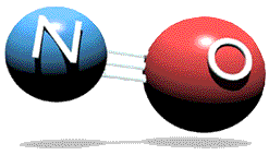 Nitric Oxide